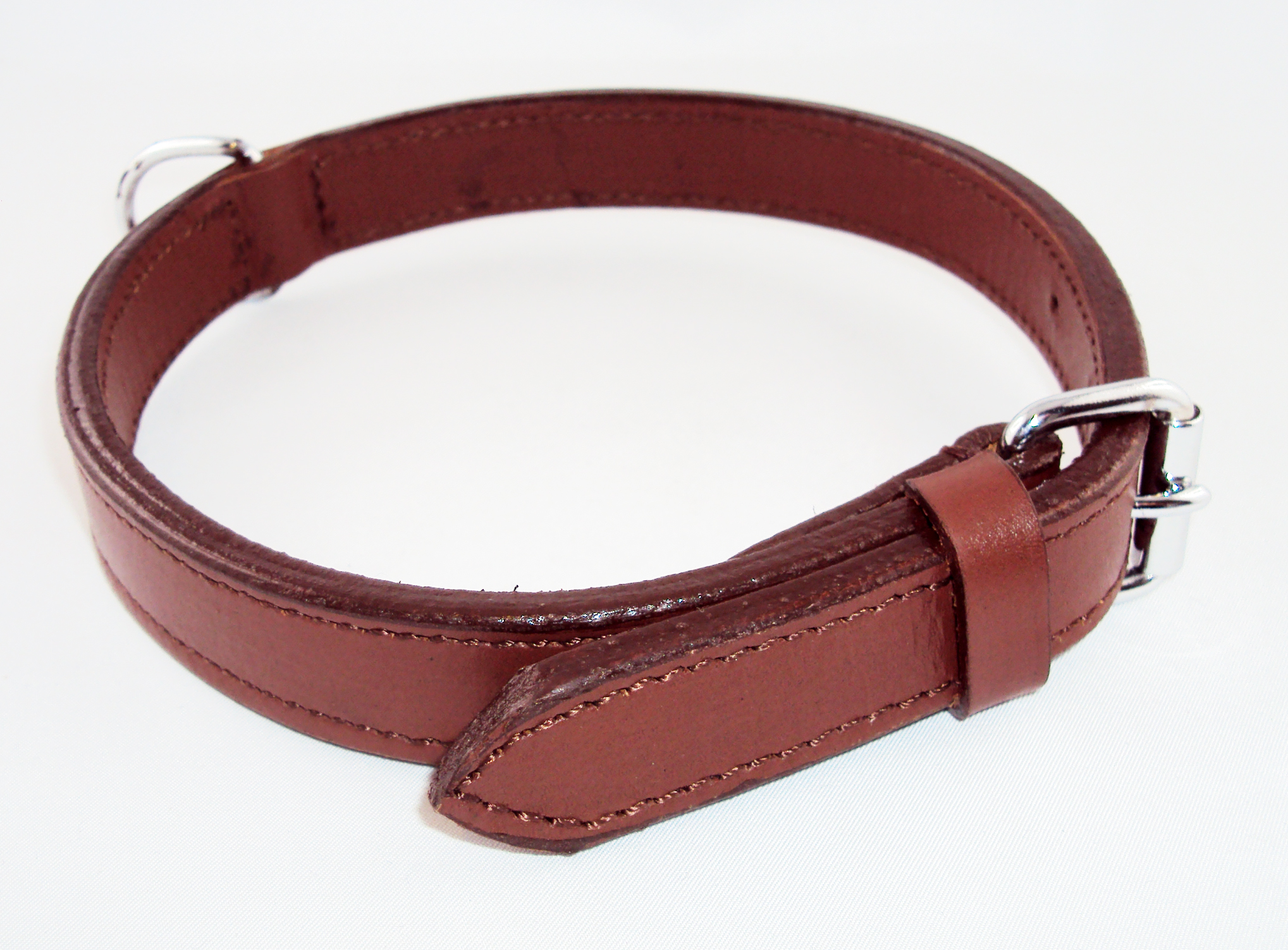 Hundehalsband Activ