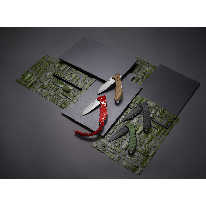 Victorinox EVOKE  Wood